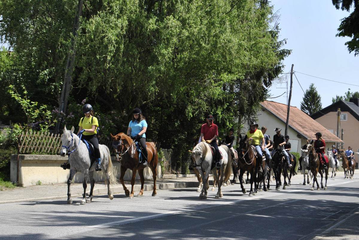 Mednarodno srečanje kočij na Grabah