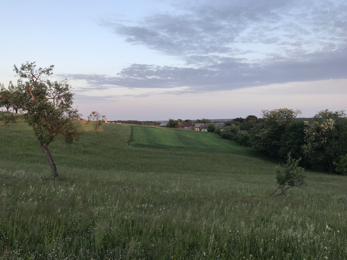 10 razlogov, zakaj obiskati Pomurje