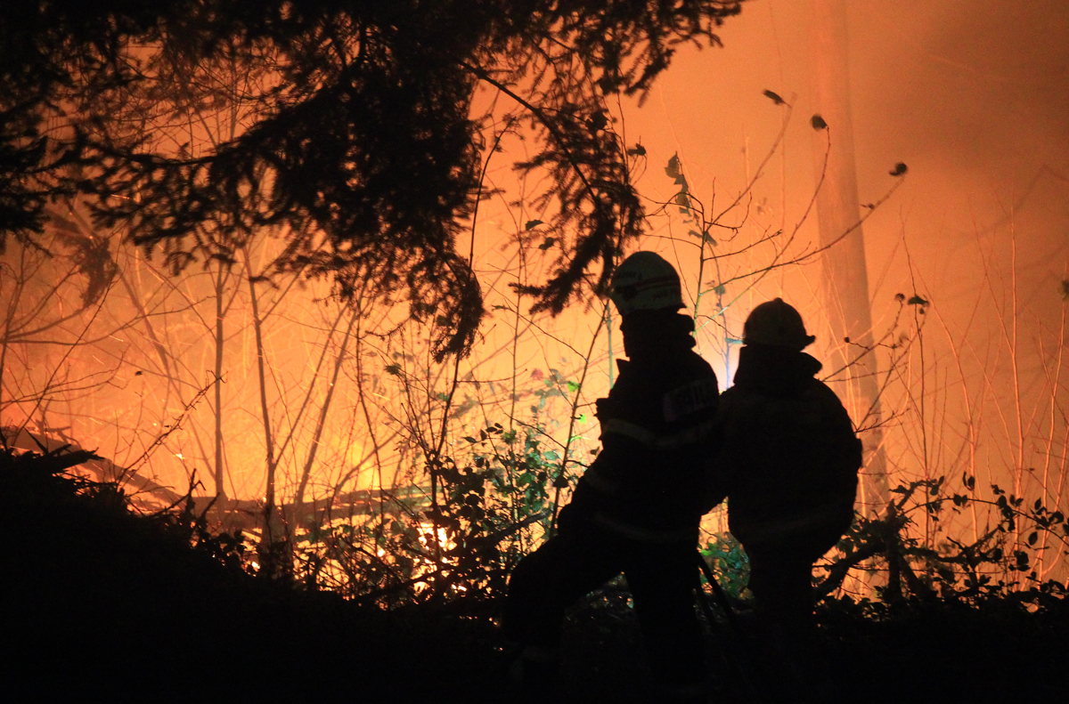 To so razpisi v kmetijstvu do konca leta