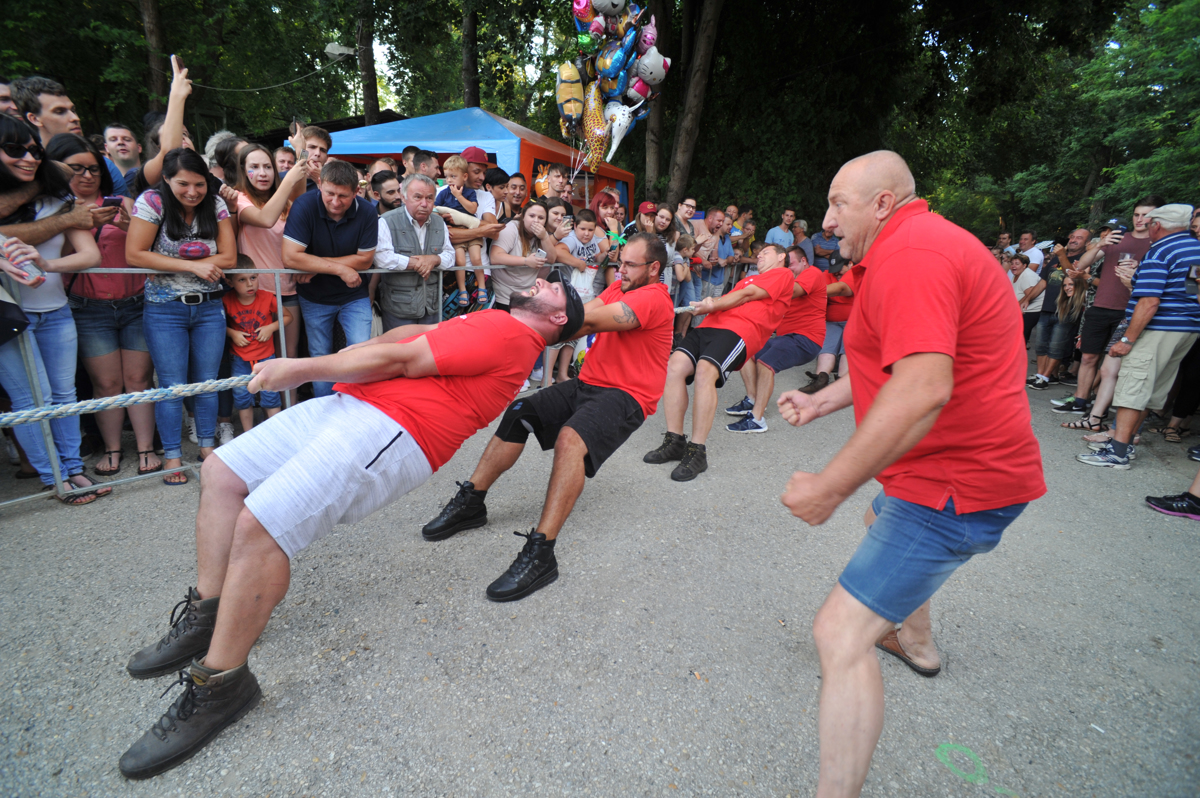 (FOTO IN VIDEO) Močnejši Prleki povedli v zmagah