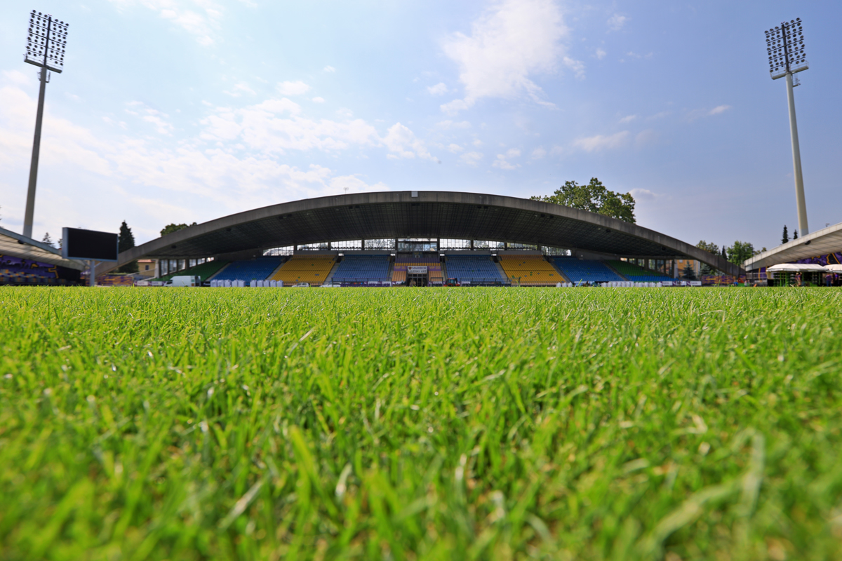 NZS in UEFA za novo travnato površino Ljudskega vrta