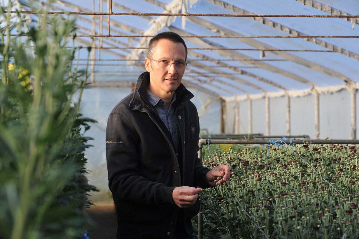 Bergle ne pomagajo, če se nanje ne opiraš