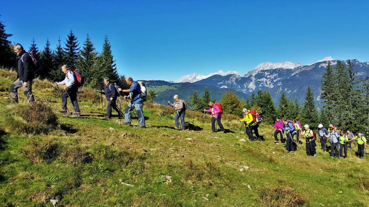 Barjani na Kranjski rebri