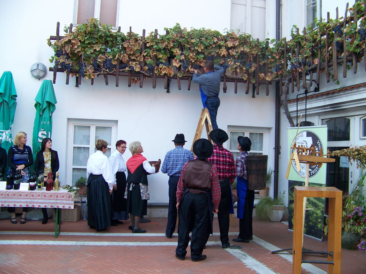 Obrali 95 sladkih grozdov žametne črnine