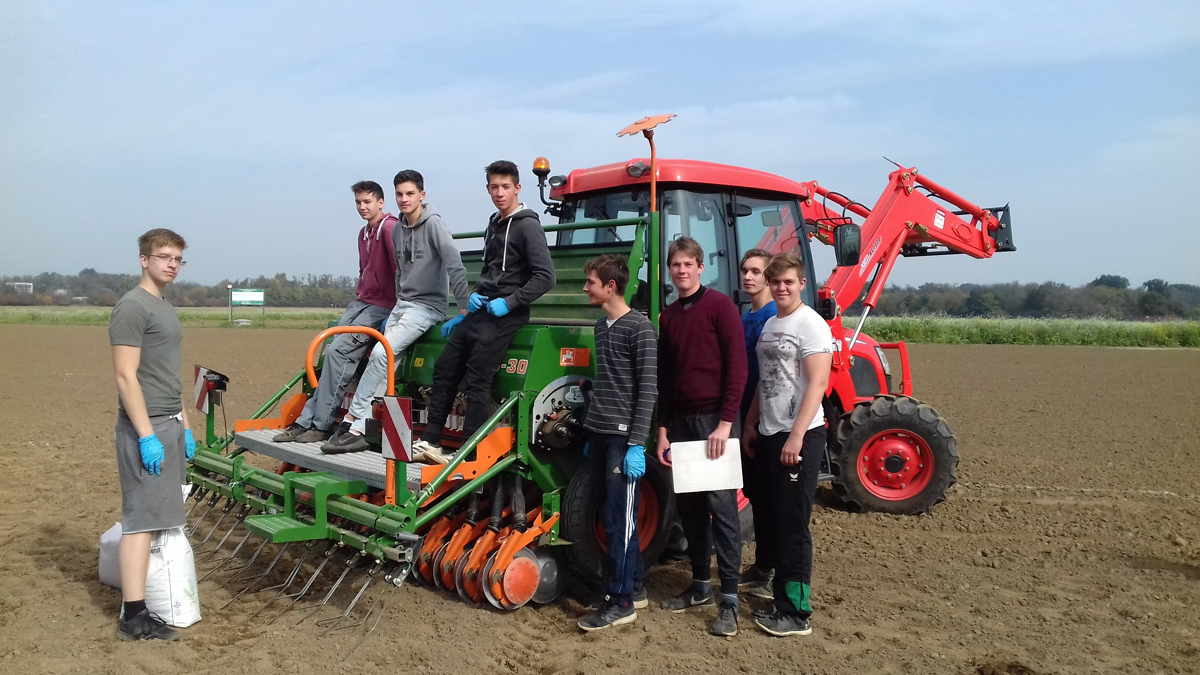 Pri setvi ni popravnega izpita