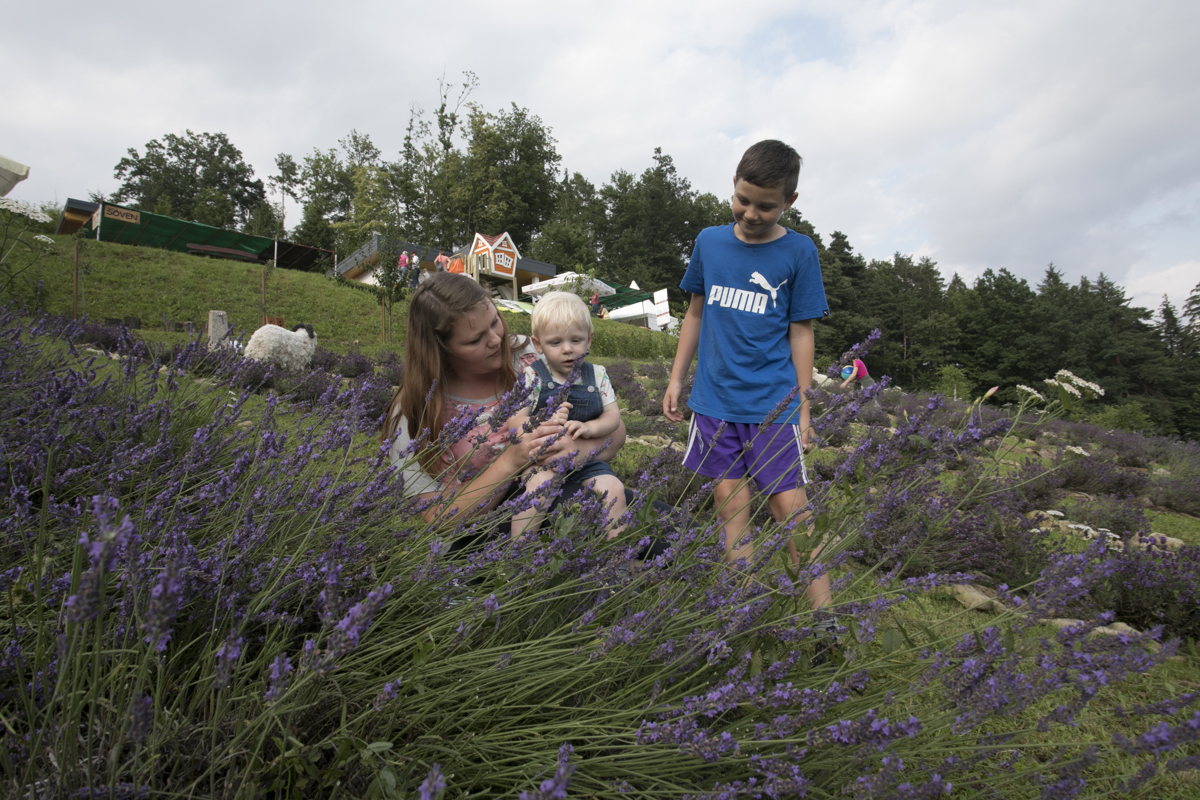 (LOKALNE VOLITVE 2018) Selnico ob Dravi bo vodila ženska
