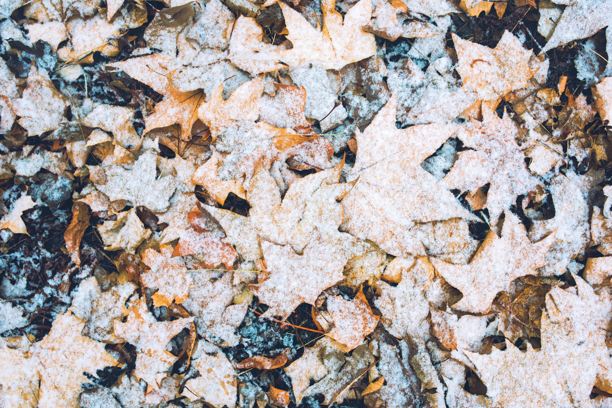 Prihajajo hladnejši dnevi