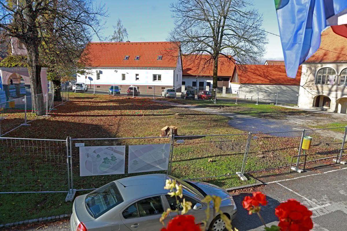 Ruše: Na Trgu vstaje že pričeli z deli. Podrli nekaj dreves ...