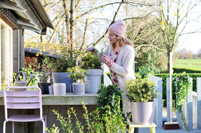 To so rastline, ki potrebujejo zaščito pred zimo. Ste že poskrbeli zanje?