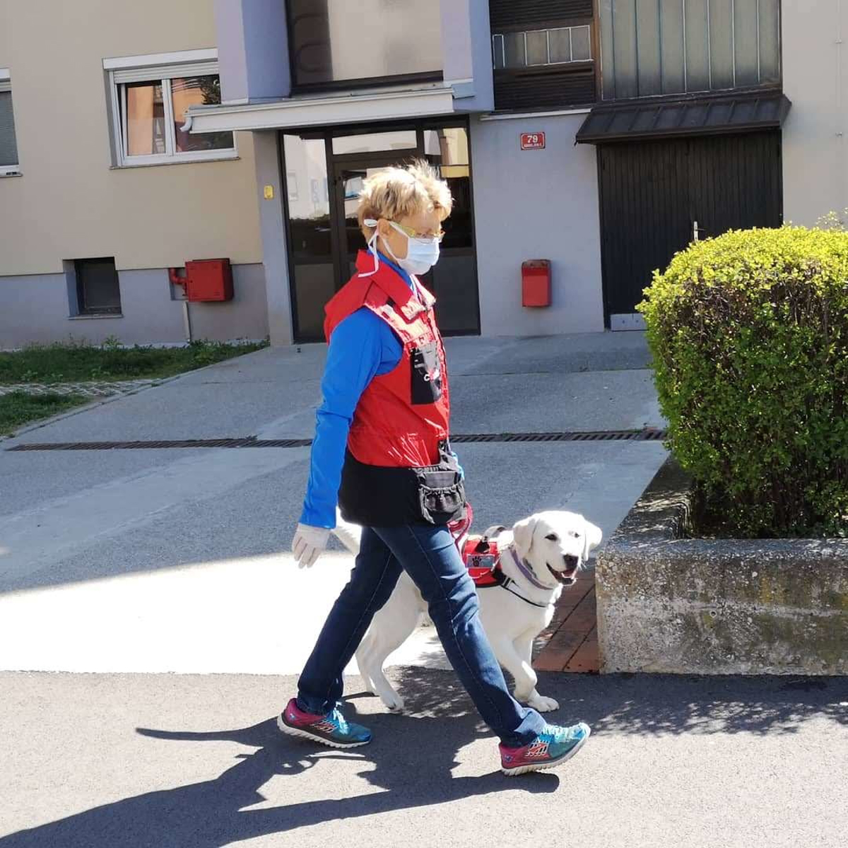 Kaj s psi in psi pomočniki, če ste v karanteni?