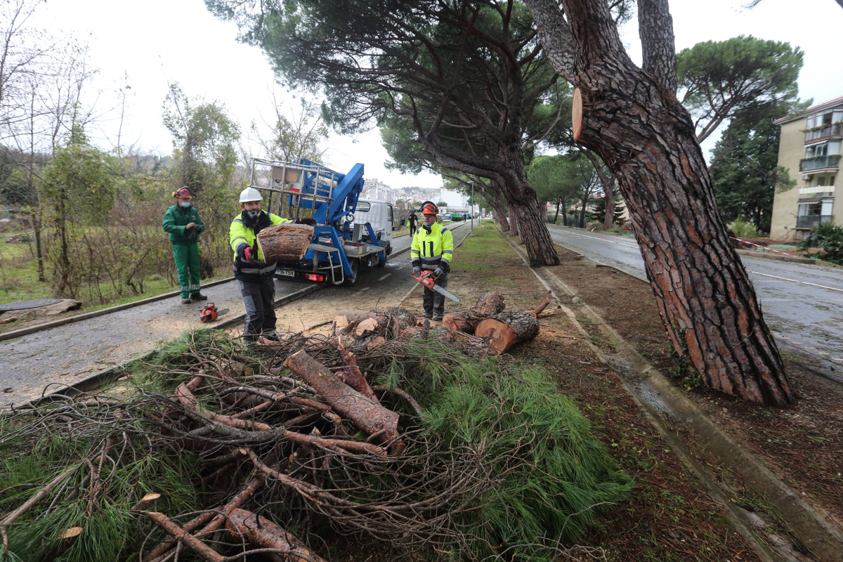 Neurje na Obali podiralo drevesa in zvijalo strehe, v Izoli tudi vodna tromba