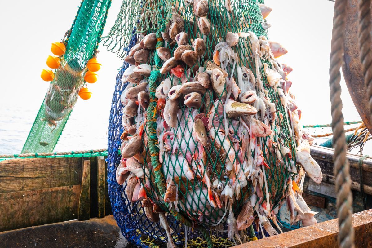 V Barentsovem morju umrlo 17 ribičev: Zaradi ledenega oklepa je ladja takoj potonila