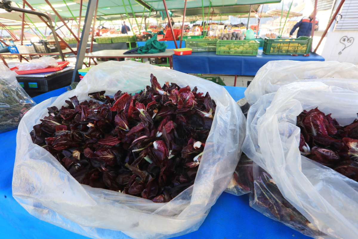 Cene na mariborski tržnici: Koliko stane radič?
