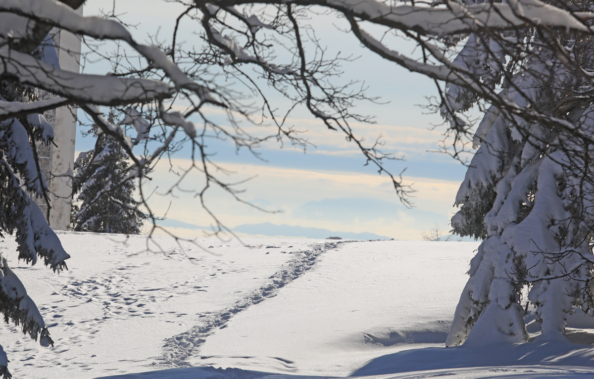 Na Pohorju so se izgubili trije mladoletniki, ki so se vozili s pležuhi