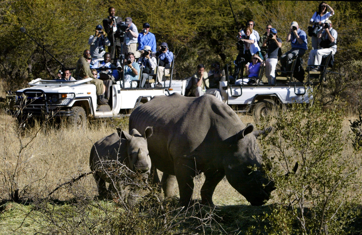 Degradacija okolja in pandemija: Narava cveti v času korone? Pozabite!