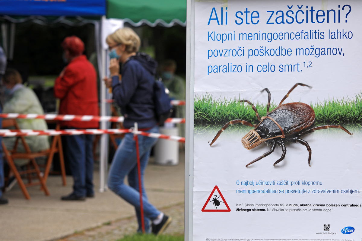 Cepljenje proti klopnemu meningoencefalitisu: Kje se naročiti, koliko stane in kje bo potekalo?