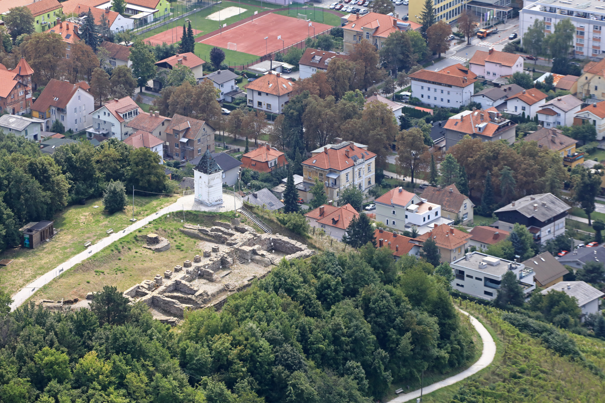 Na Piramidi v Mariboru odstranjevali pajesen