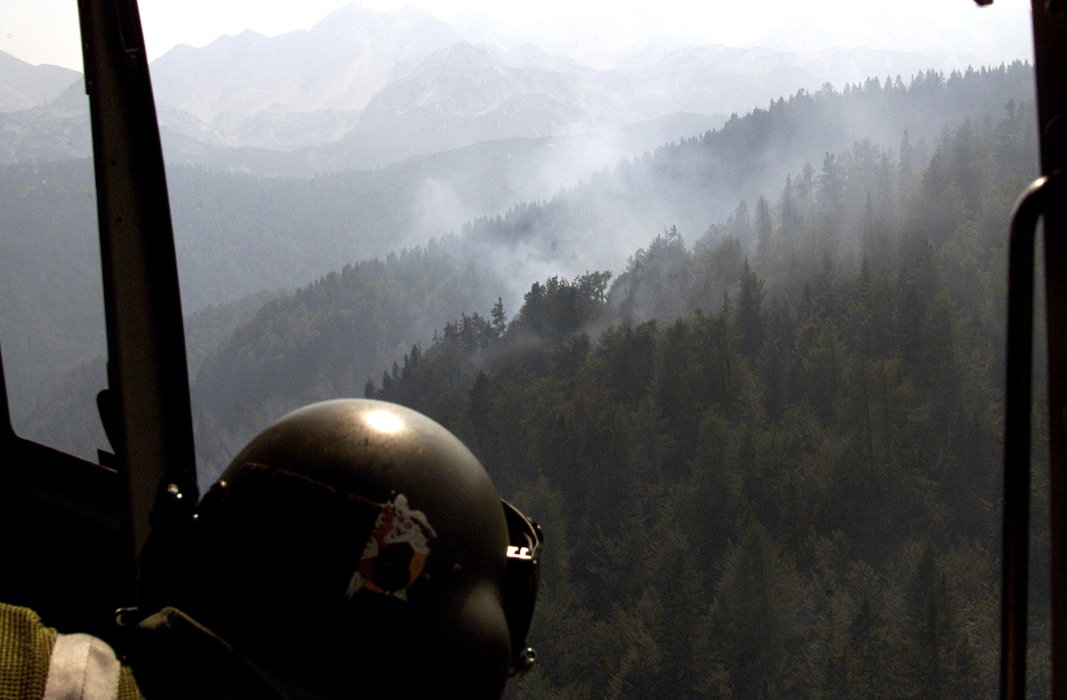 V Bohinju za posledicami poškodbe umrla tuja planinka
