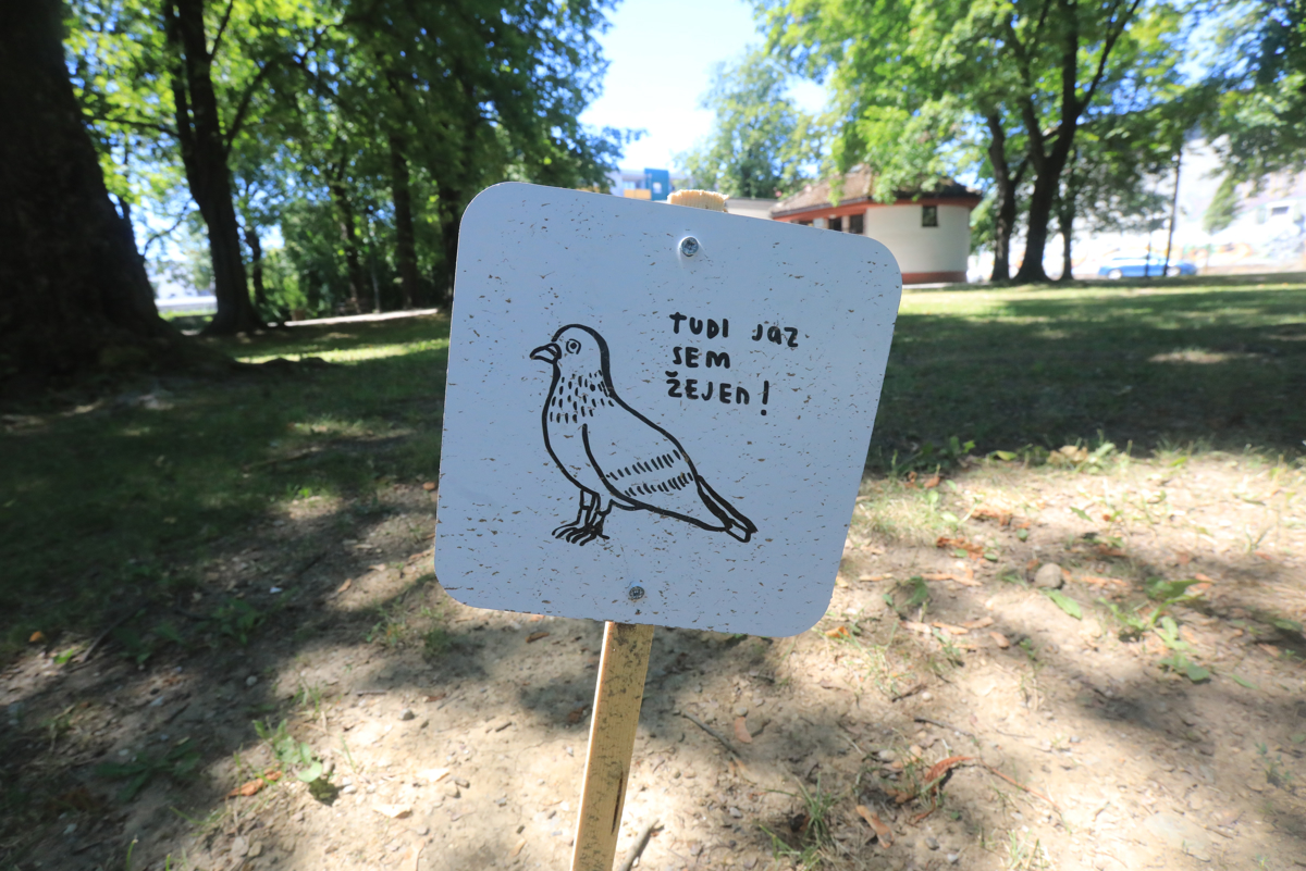 (FOTO) Kaj sporoča sedemnajst belih tablic v Mariboru
