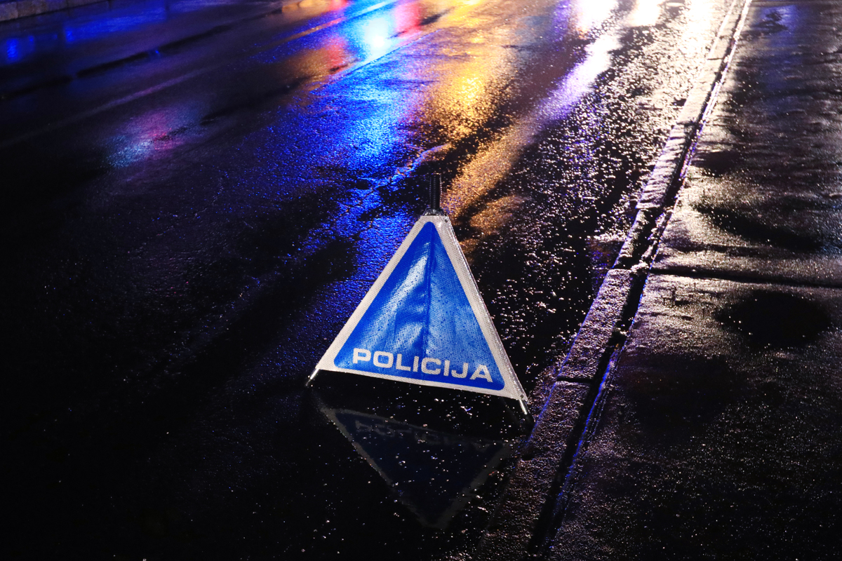 Trčila v divjad, poklicala policijo in ostala brez vozniškega dovoljenja