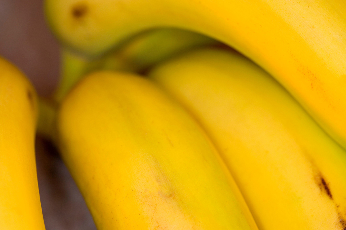 Ploče: Prodajalka v zaboju banan odkrila 18 kilogramov kokaina