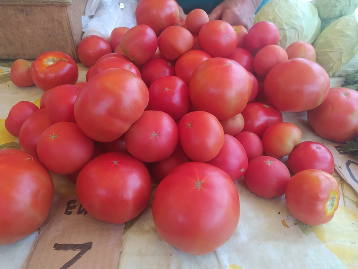 Cene na mariborski tržnici: Koliko stane paradižnik