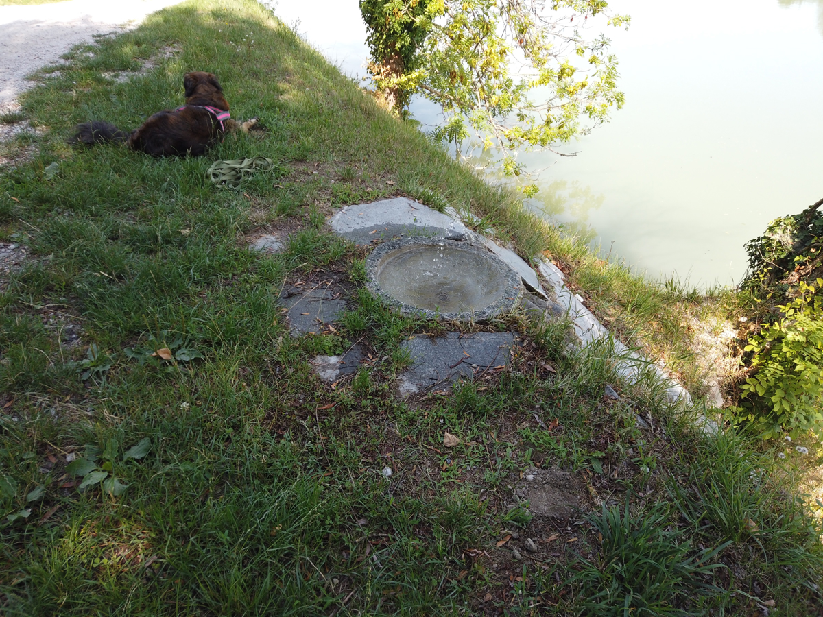 (FOTO) Na Studencih ob Dravi znova deluje pitnik