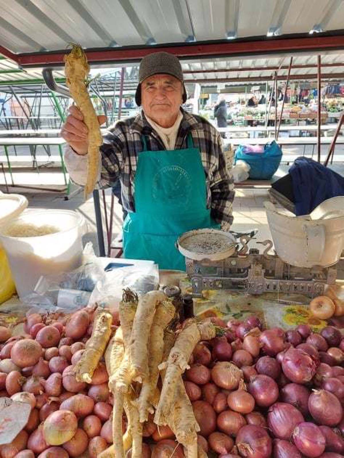 Slavko Žugman na mariborski tržnici prodaja že vrsto let. Letos je pridelal rekordno debel hren. Foto: Arhiv Večera
