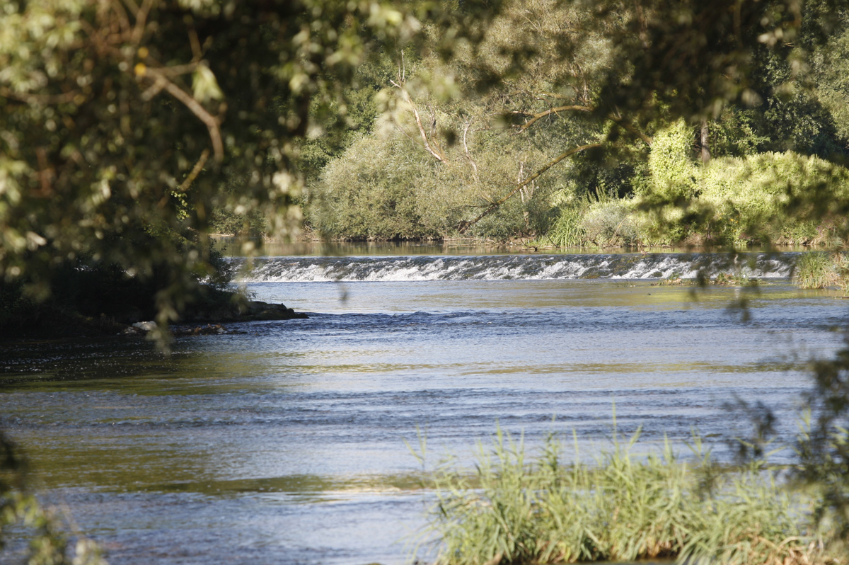 V Krki našli mrtvo 65-letnico, zdrsnila naj bi s poti
