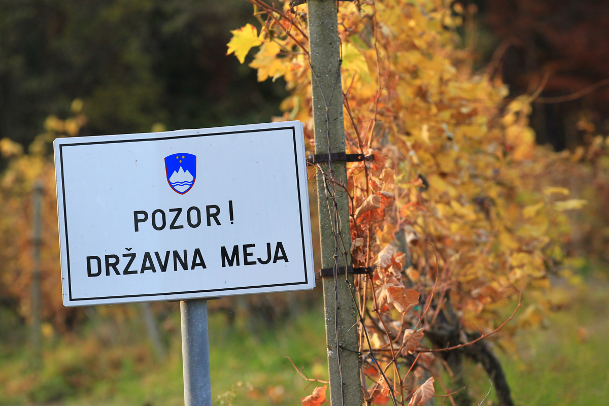 Tihotapstvo: Voziti begunca je enako kot ubiti človeka
