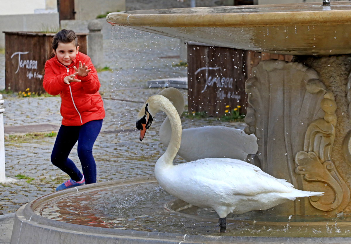 (FOTO) Mariborski utrinki leta 2021: To so ujeli Večerovi fotoreporterji ...
