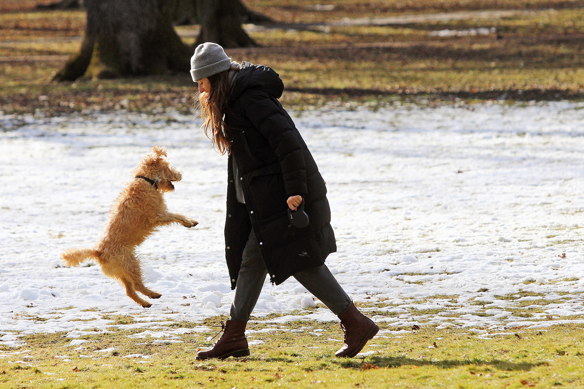 (FOTO) Mariborski utrinki leta 2021: To so ujeli Večerovi fotoreporterji ...

