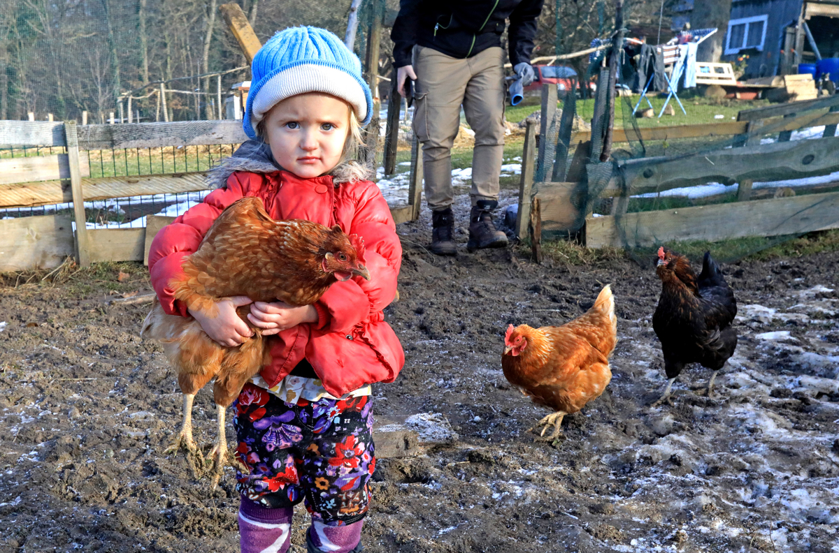 (FOTO) Mariborski utrinki leta 2021: To so ujeli Večerovi fotoreporterji ...
