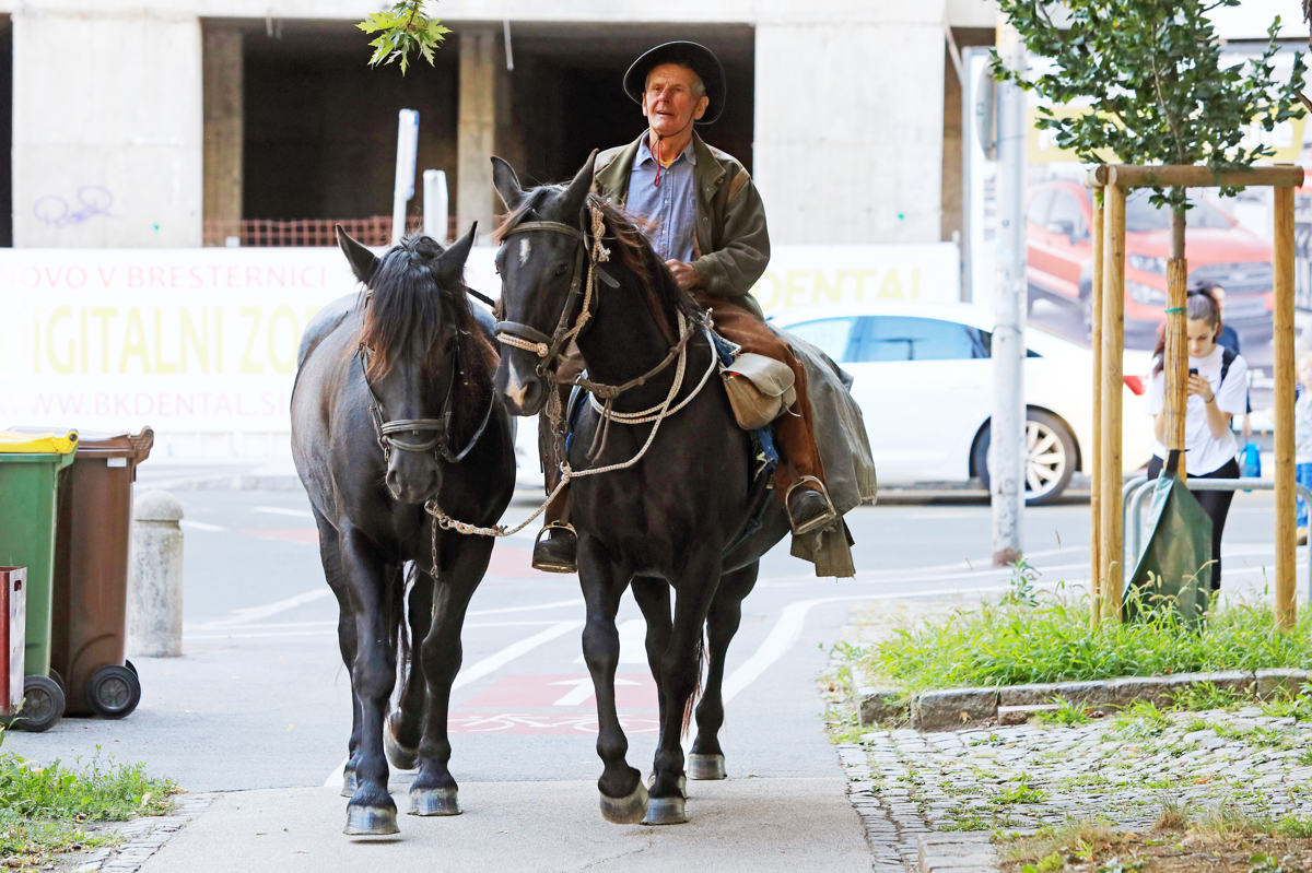 (FOTO) Mariborski utrinki leta 2021: To so ujeli Večerovi fotoreporterji ...
