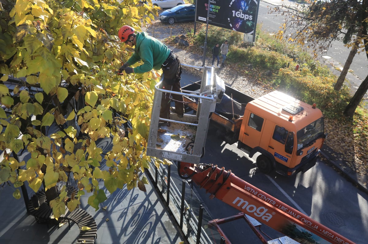 (FOTO) Mariborski utrinki leta 2021: To so ujeli Večerovi fotoreporterji ...
