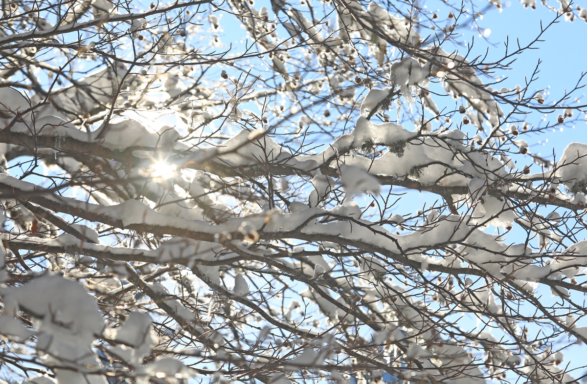 (FOTO) Bellevue in Areh: Zimsko veselje pod svobodnim soncem