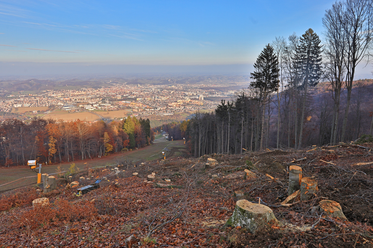 (FOTO) Mariborsko Pohorje: Drevesa posekali, a rezervne proge za Zlato lisico letos še ne bo
