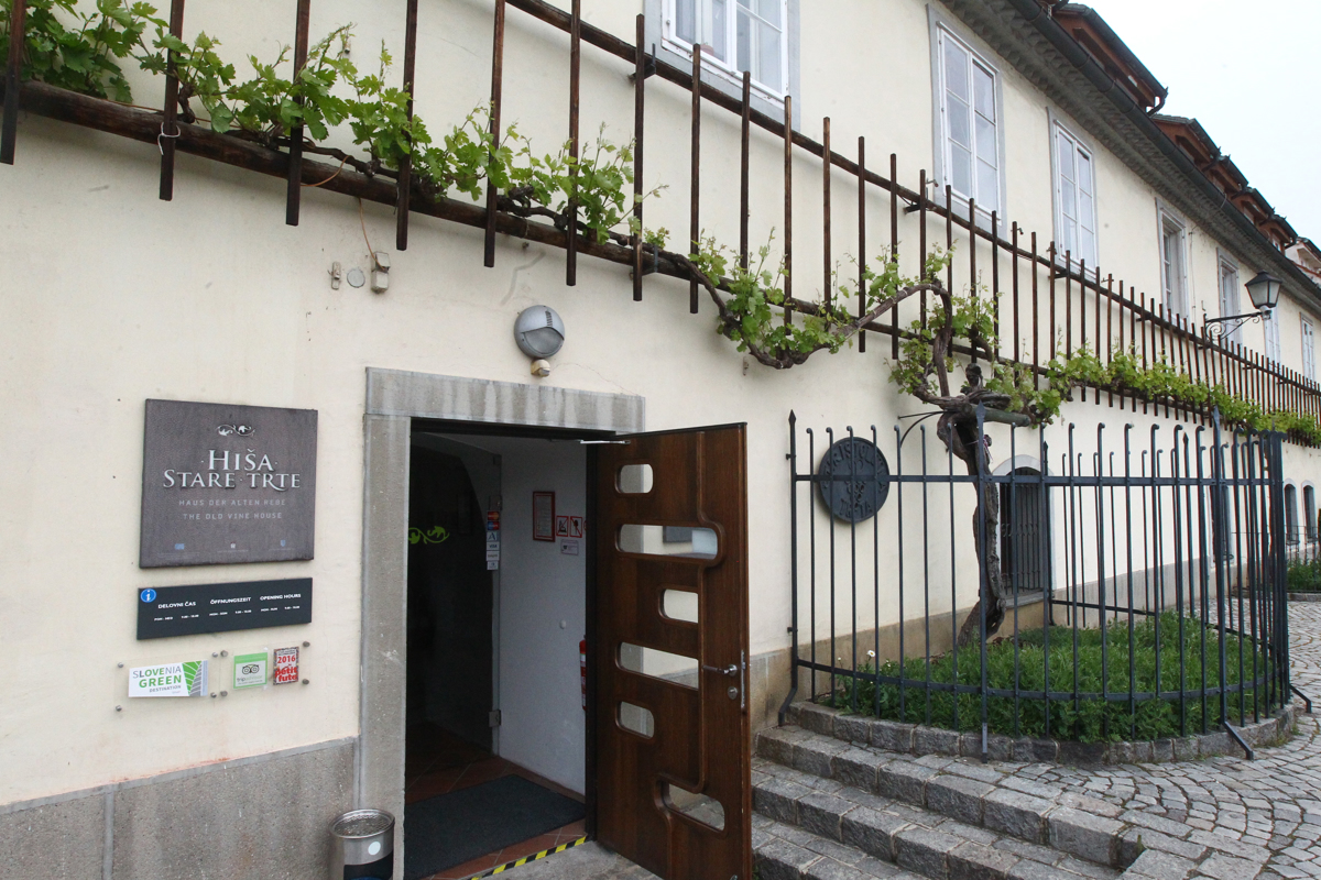 Zavod za turizem Maribor - Pohorje bo naposled le dobil direktorico