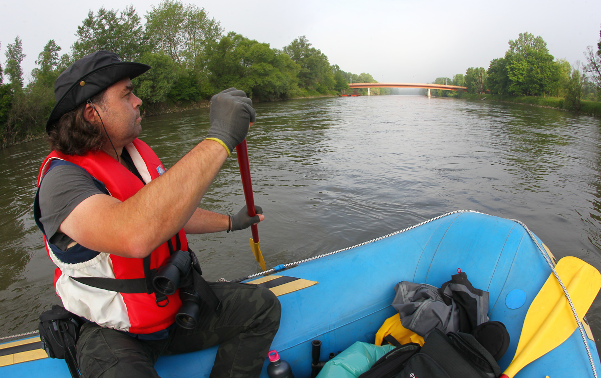 Hidroelektrarnam na Muri palec dol