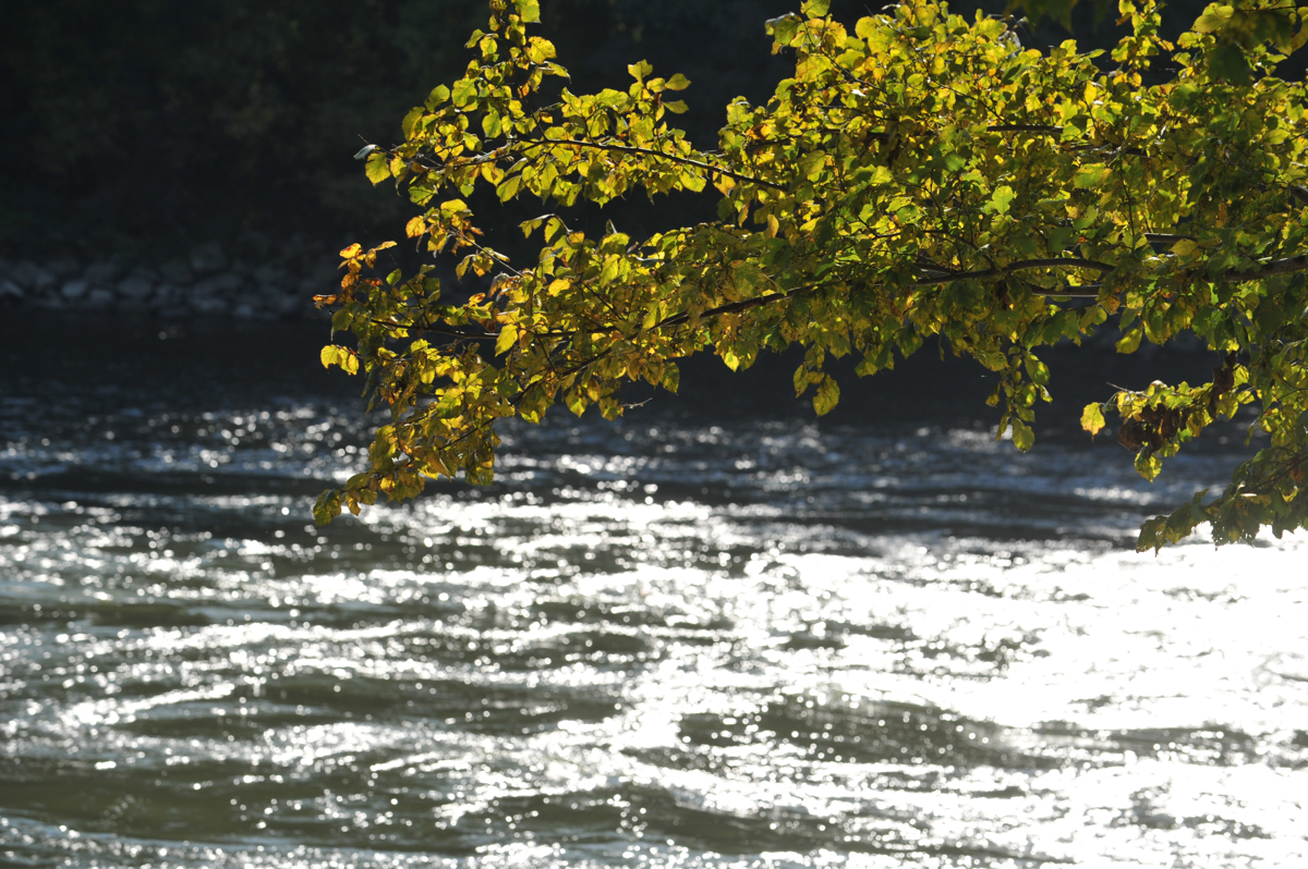 (HE NA MURI) Veselje ob Muri, jeza ob Dravi