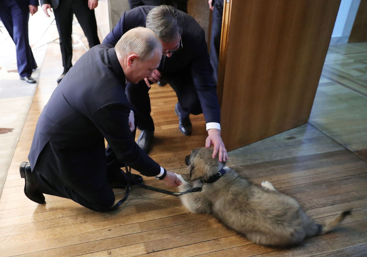 Putin v Beogradu: Srbija slavila obisk velikega brata