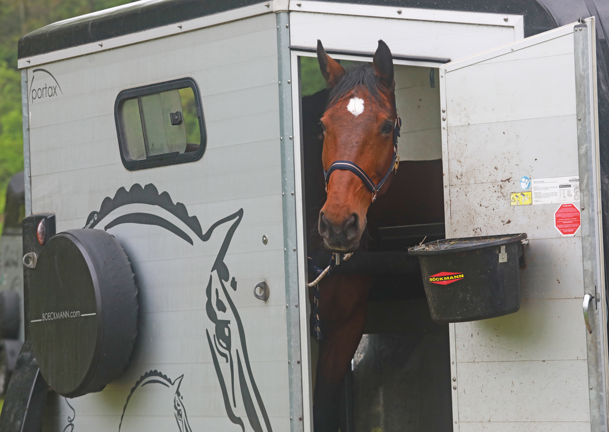 Preko ovir na jahališču Konjeniškega kluba Urh Bauman v Dogošah
