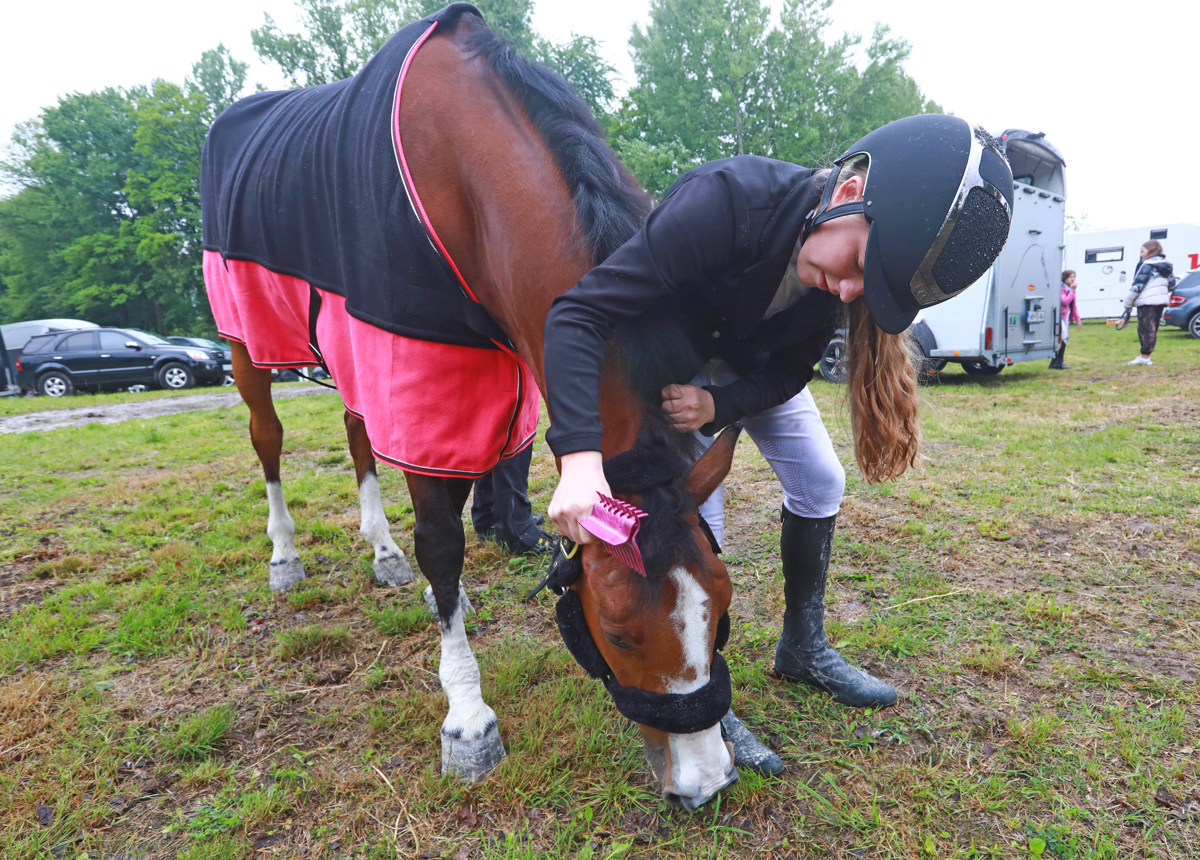 Preko ovir na jahališču Konjeniškega kluba Urh Bauman v Dogošah
