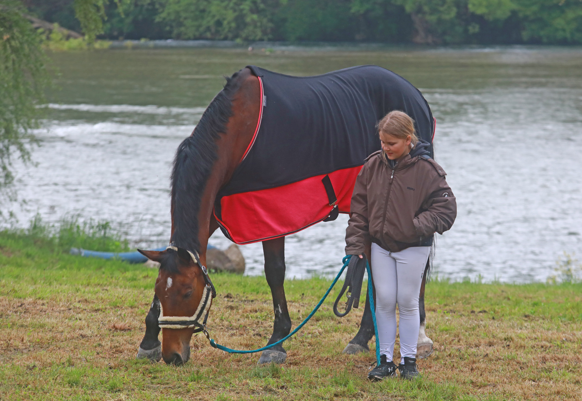 Preko ovir na jahališču Konjeniškega kluba Urh Bauman v Dogošah
