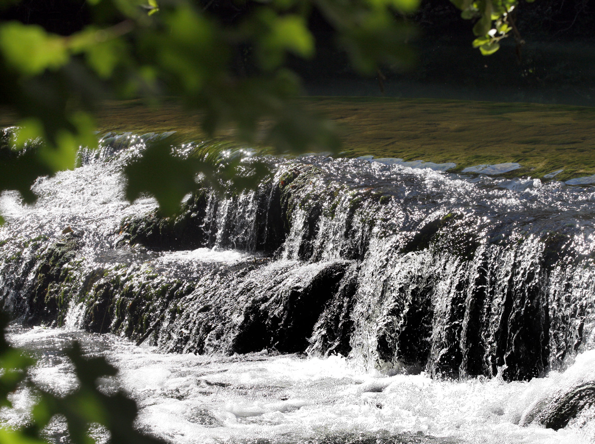 V Krki našli utopljeno osebo
