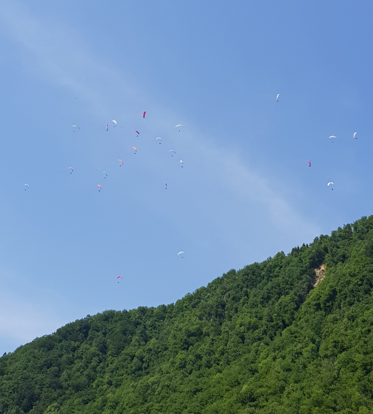 Tolmin: Padalki huje poškodovani, padalec obtičal na drevesu