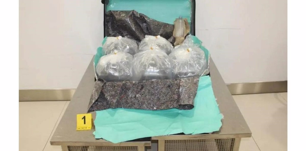 Mladice jegulj množično v kovčkih v Azijo