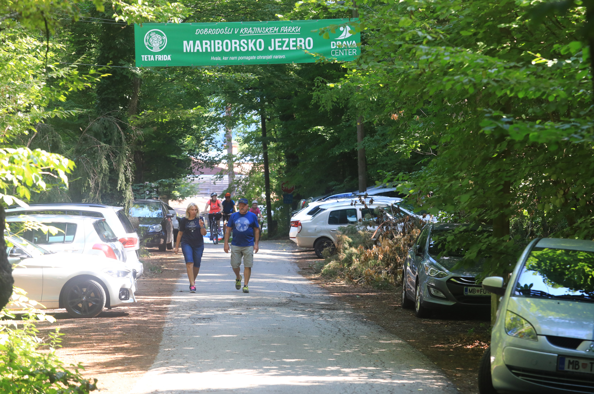 Preozka cesta do Limbuškega nabrežja v Mariboru onemogoča razvoj, avtomobili parkirani kar v gozdu. Kako naprej?