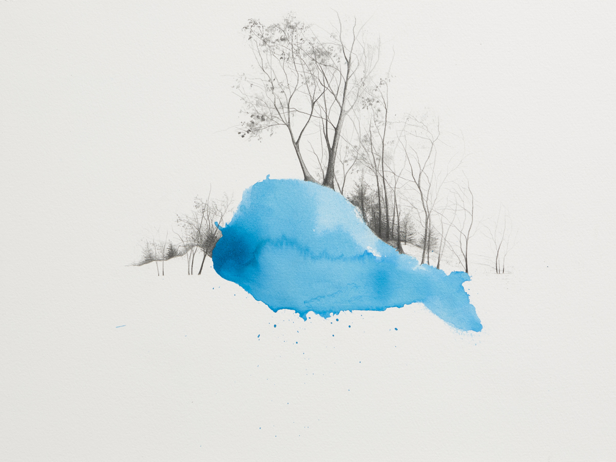 (RAZSTAVA) Narava govori in mi molčimo