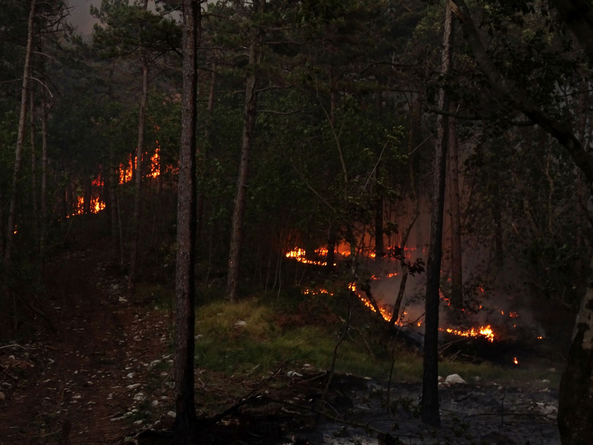 Prijeli so 30-letnega osumljenca požigov na ljubljanskem Rožniku
